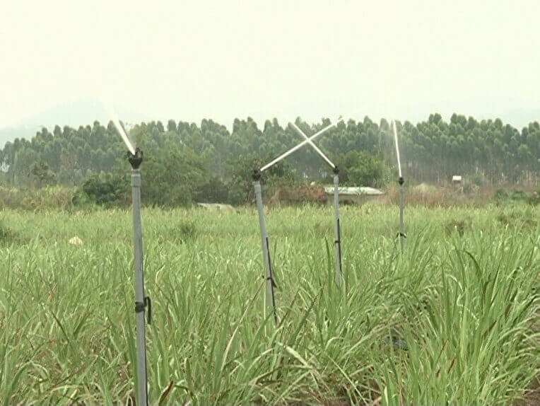 Một số phương pháp tưới trong nông nghiệp